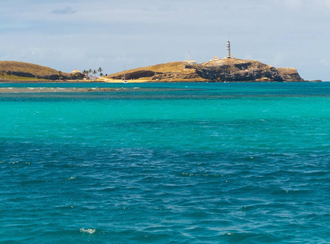 Live Aboard Abrolhos