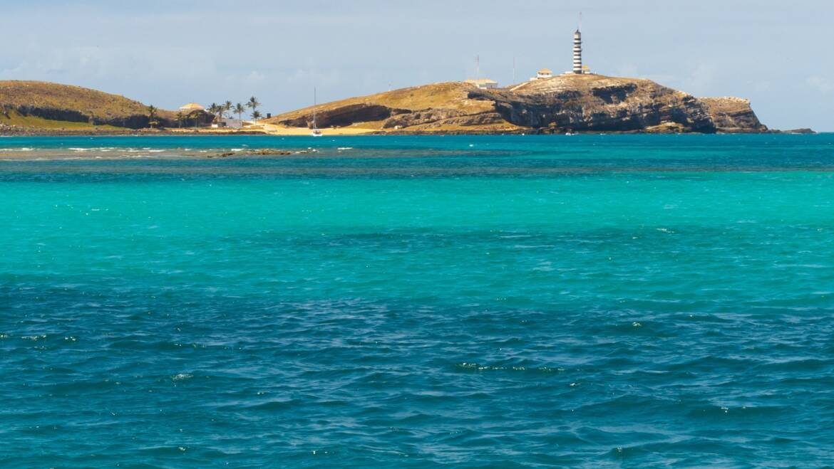 Live Aboard Abrolhos